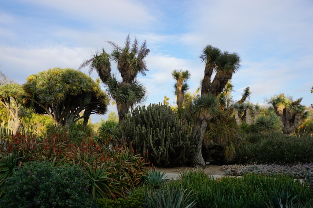 Huntington Library Botanical Gardens San Marino California