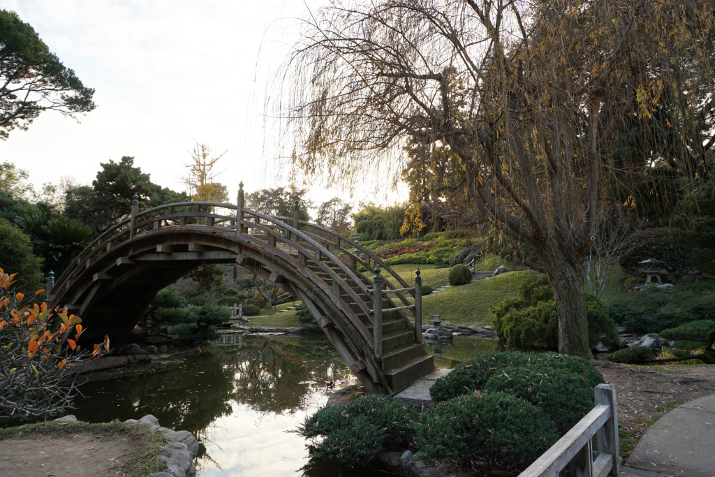 Huntington Library Botanical Gardens San Marino California Japanese Garden Bridge