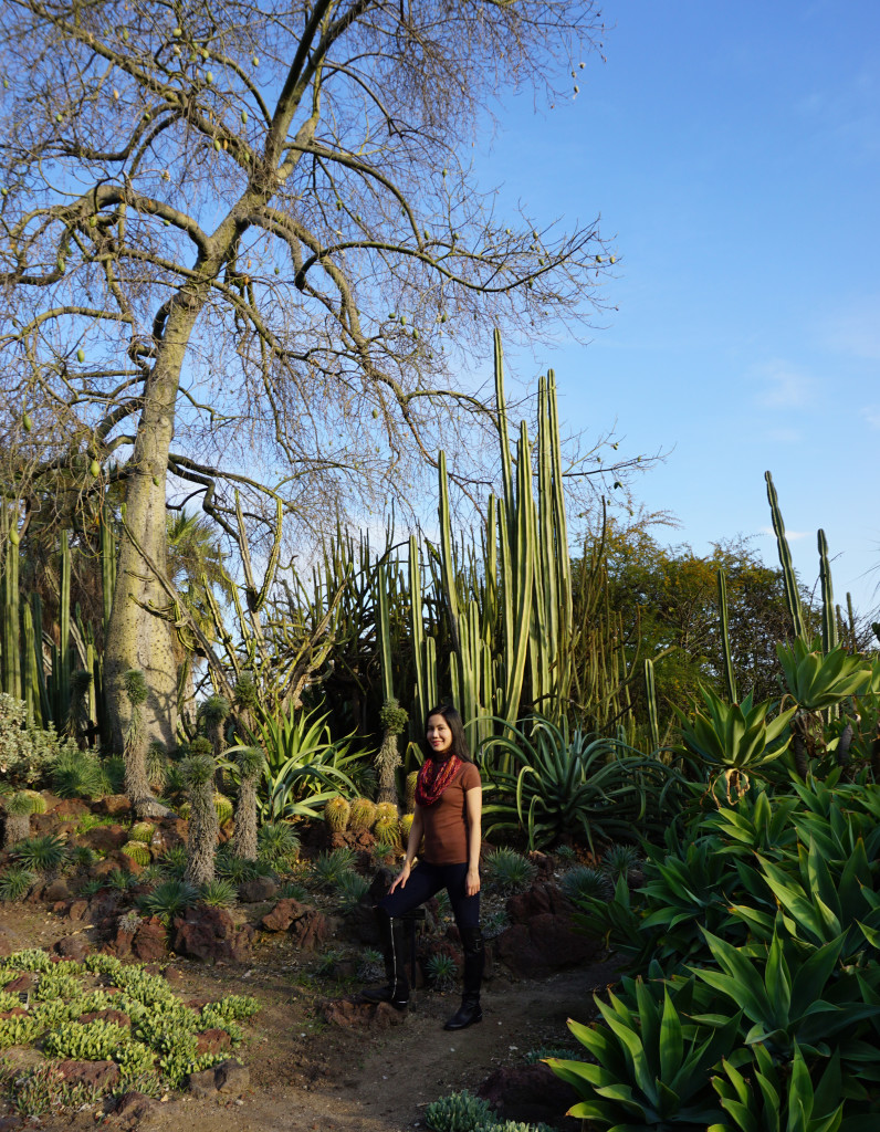 Huntington Library Botanical Gardens San Marino California Cactus Desert