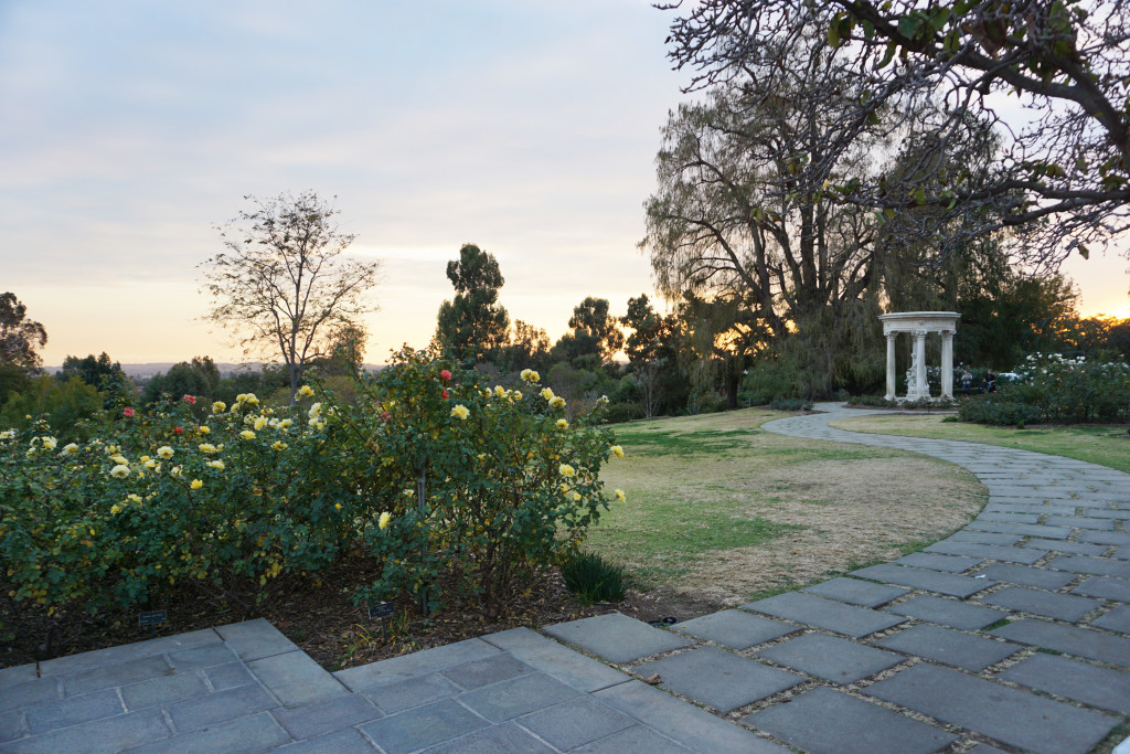 Huntington Library Botanical Gardens San Marino California