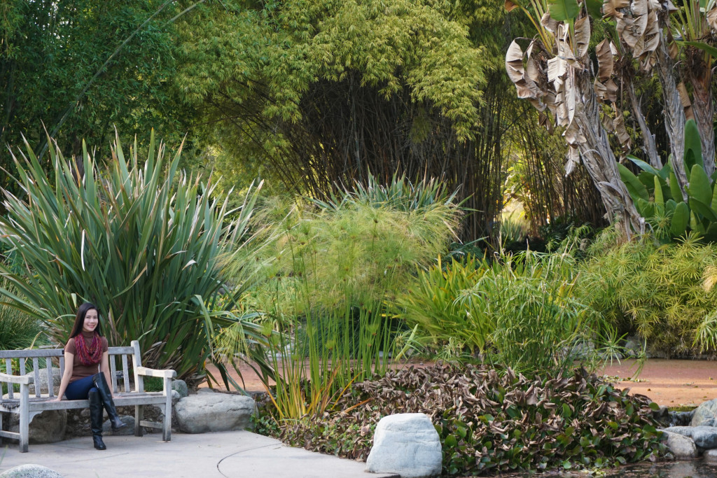 Huntington Library Botanical Gardens San Marino California Lilypond