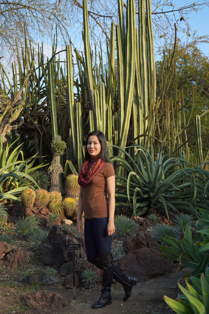 Huntington Library Botanical Gardens San Marino California Cactus Desert