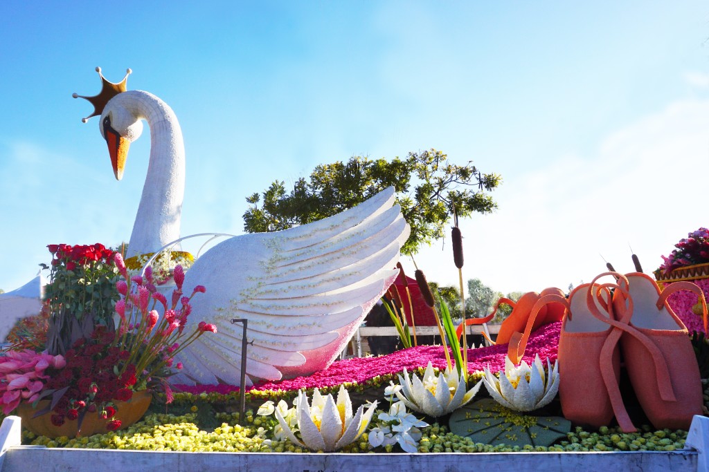 Tournament of Roses Rose Parade Pasadena California Swan