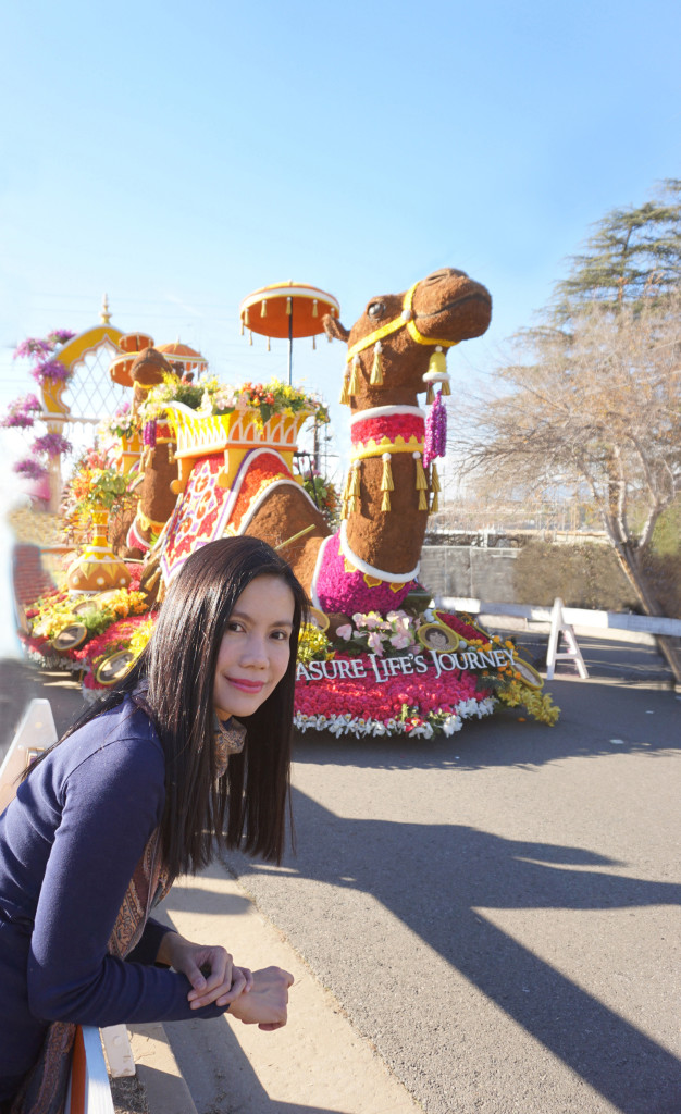 Tournament of Roses Rose Parade Pasadena California Camel